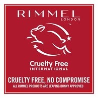 Rimmel Scandaleyes Micro Eye Liner