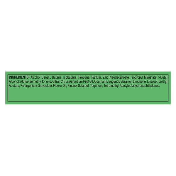 Lynx Jungle Fresh Aerosol Body Spray 250 ml