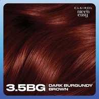 Clairol Nice'n Easy Hair Dye 3.5BG Dark Burgundy Brown