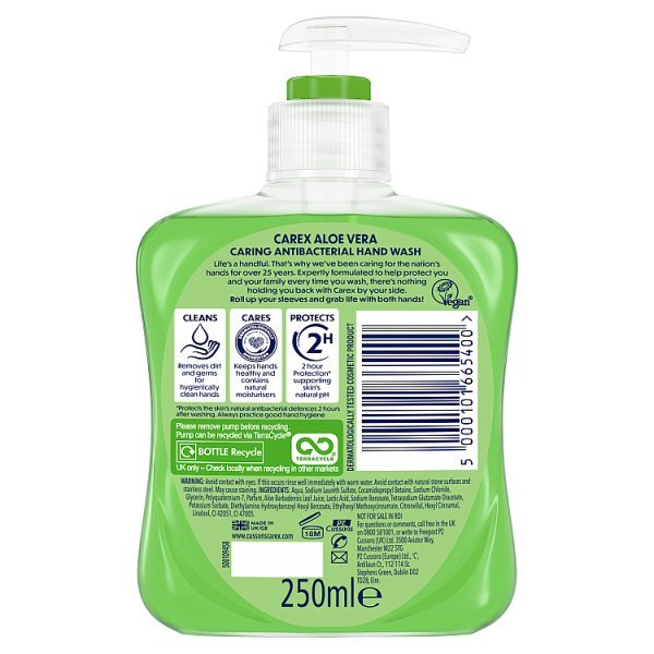 Carex Aloe Vera Antibacterial Hand Wash 250ml
