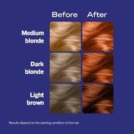 LIVE Intense Colour Permanent  Copper Hair Dye Mango Twist