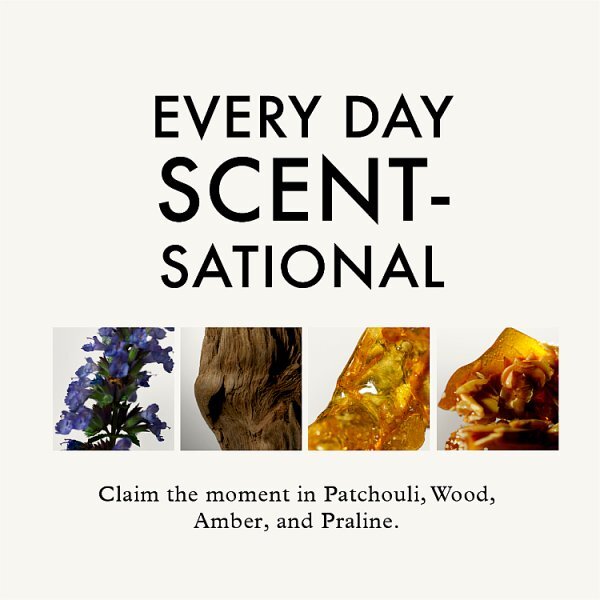 John Frieda Frizz Ease Dream Curls Hydrating Jelly 200Ml