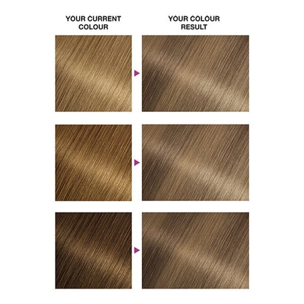 Garnier Nutrisse 8.13 Medium Beige Blonde Permanent Hair Dye