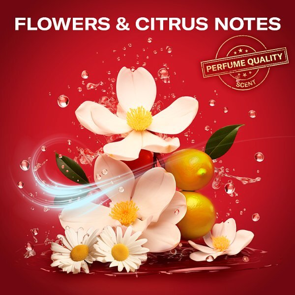 Old Spice Captain Deodorant & Shower Gel Christmas Gift Set