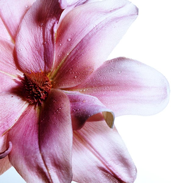 Davidoff Cool Water Woman Collector's Mera EDT 100ml