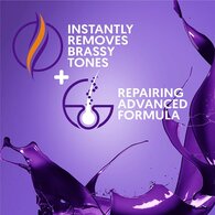 Provoke Brighten + Repair Intensive Purple Shampoo 200ml