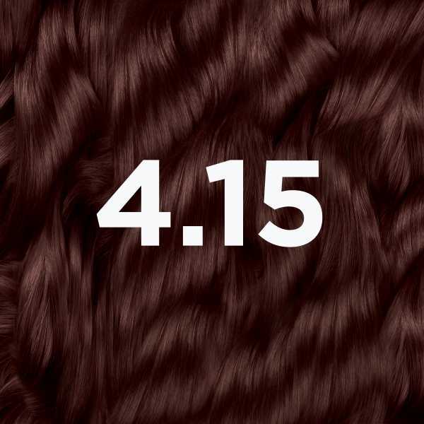 Garnier Good Permanent Hair Dye Iced Chesnut Brown 4.15