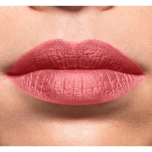 L'Oreal Color Riche Matte Lipstick Erotique 640