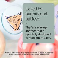 Tommee Tippee CTN Fun Soother 18-36 months
