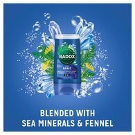 Radox 2-In-1 Shower Gel & Shampoo 60ml
