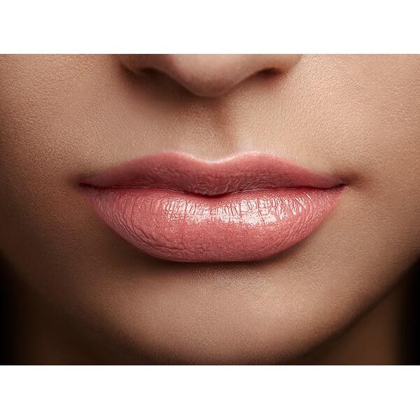 L'Oreal Paris Color Riche Shine Lipstick Topless 658