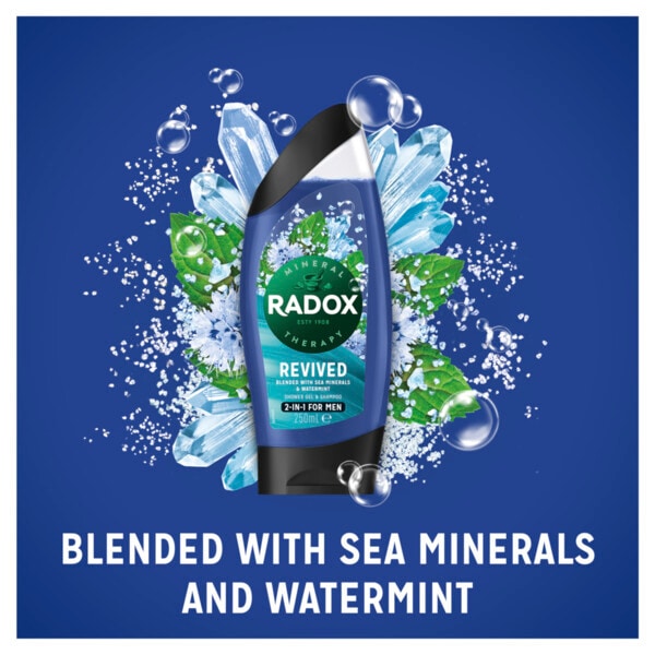 Radox Men Revived 2in1 Shower Gel 250ml