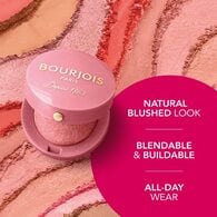 Bourjois Little Round Pot Blusher 32 Ambre D'Or