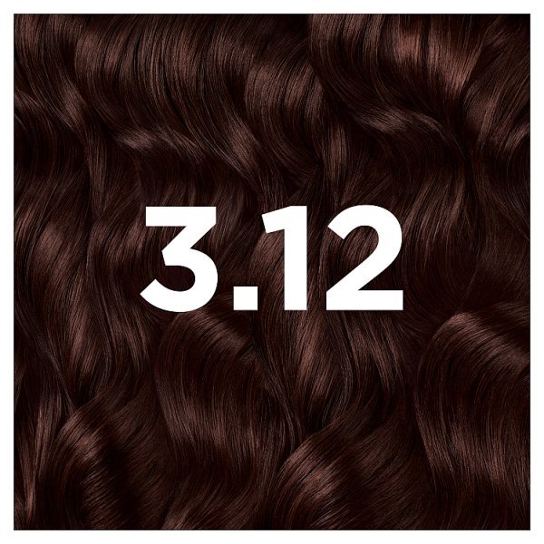 Garnier Good Permanent Hair Dye Blackberry Brown 3.12