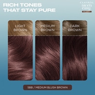 Clairol Nice'n Easy Pure Brunettes 5Bb Medium Blush Brown