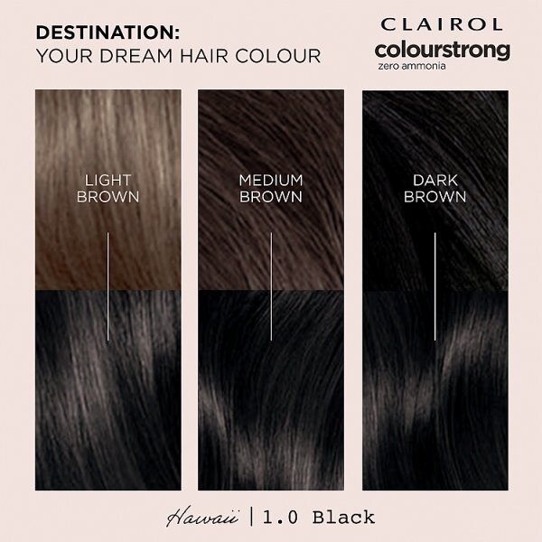 Clairol Colour Strong Permanent Zero Ammonia Hair Dye Black