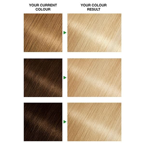 Garnier Nutrisse D+ Bleach Pre-lightener Permanent Hair Dye