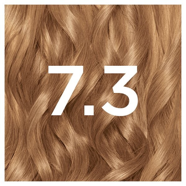 DNR Garnier Nutrisse Permanent Hair Dye Golden Copper 7.3