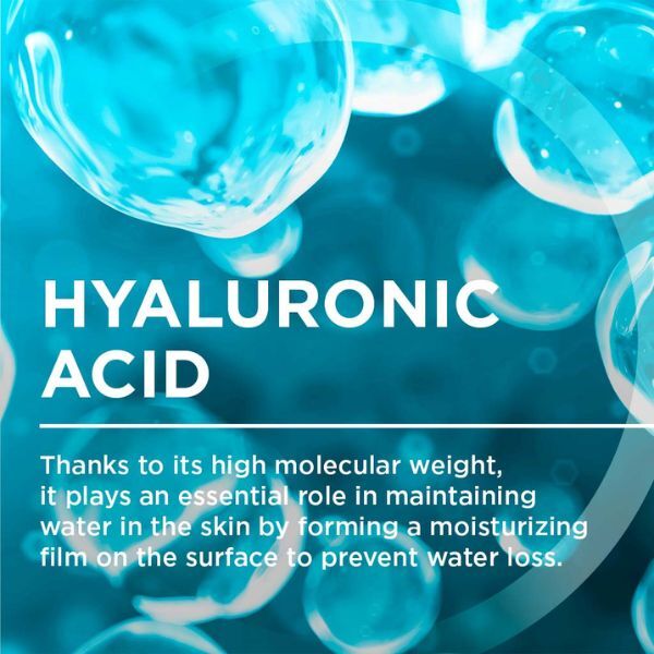 Bioderma Hydrabio Cream Rich 40Ml