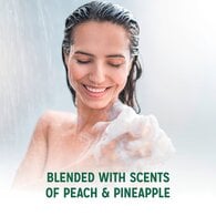 Radox Special Edition Sunshine Showers Shower Gel 450 ml