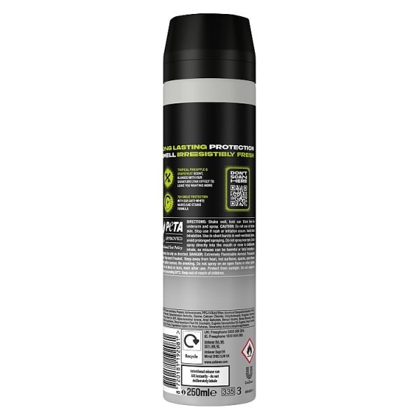 Lynx Epic Fresh Anti-Perspirant Deodorant Aerosol 250 ml
