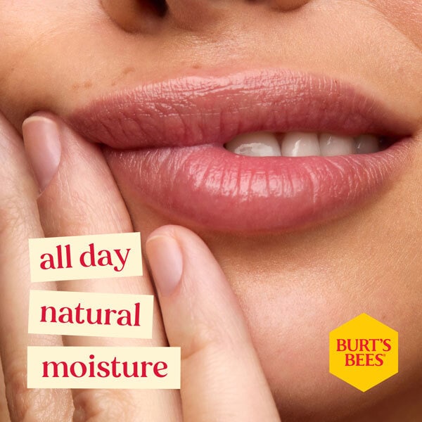 BurtS Bees Birthday Cake Lip Balm, 4.25G