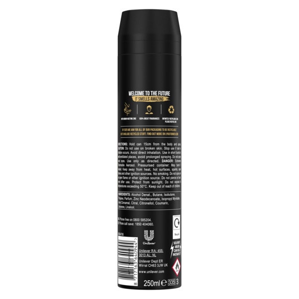 Lynx Deodorant Bodyspray Aerosol Dark Temptation 250ml