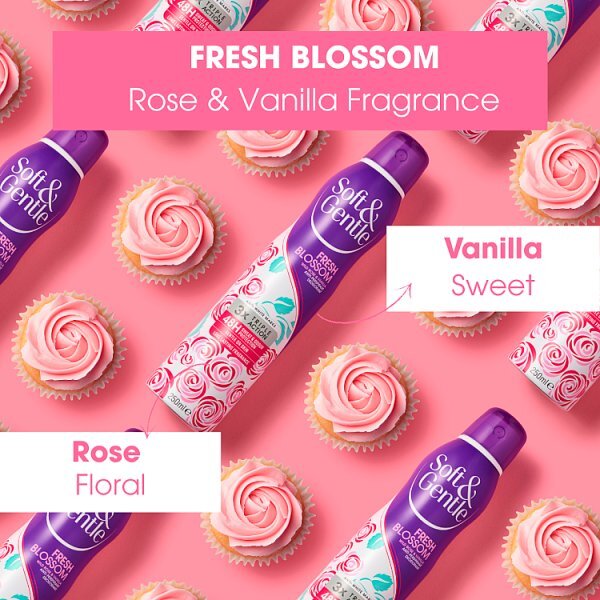 DNR Soft & Gentle Aerosol  Fresh Blossom 250Ml