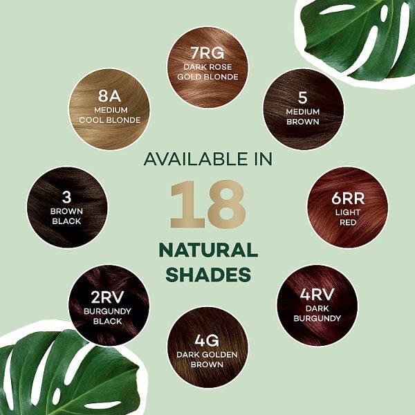 Clairol Natural Instincts Hair Dye 3 Darkest Brown