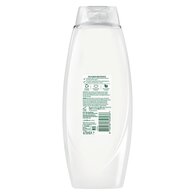 Radox Mineral Therapy Feel Moisturised Shower Gel 675 ml