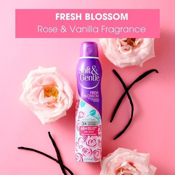 DNR Soft & Gentle Aerosol  Fresh Blossom 250Ml