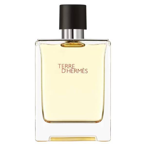 Hermes Terre D'hermes Edt-S 100Ml