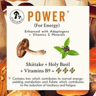 Grass & Co. Power Shiitake Mushrooms Capsules