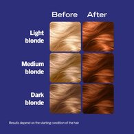 Live Colour  Caramel Copper 077