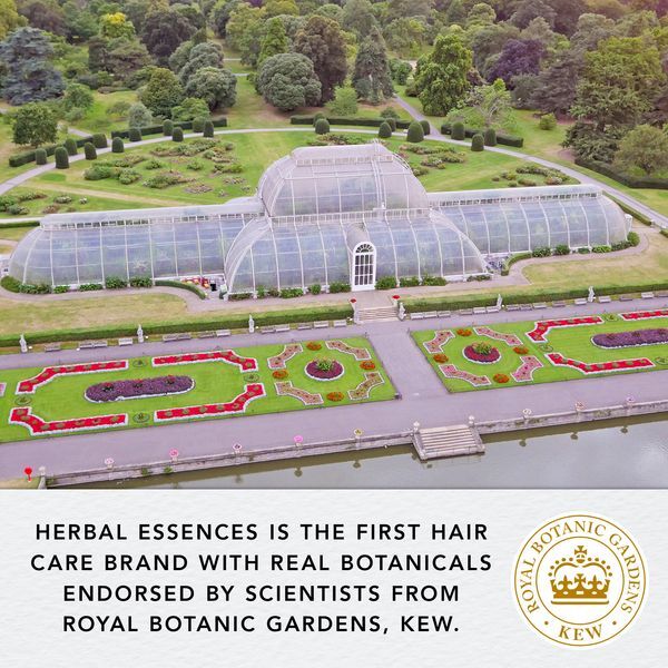 Herbal Essences Hair Conditioner Aloe & Bamboo 275ml