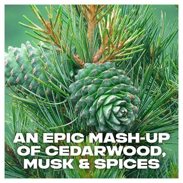 Lynx Java Aerosol Body Spray 150 ml