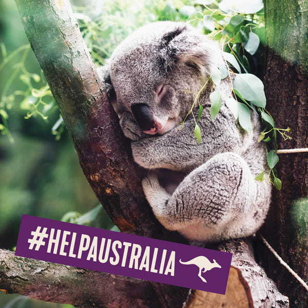 Aussie Nourish & Repair 3MM Deep Treatment Hair Mask 250ml