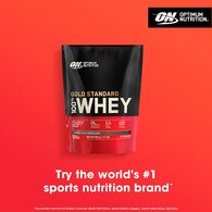 Optimum Nutrition Double Rich Chocolate Whey Protein Powder