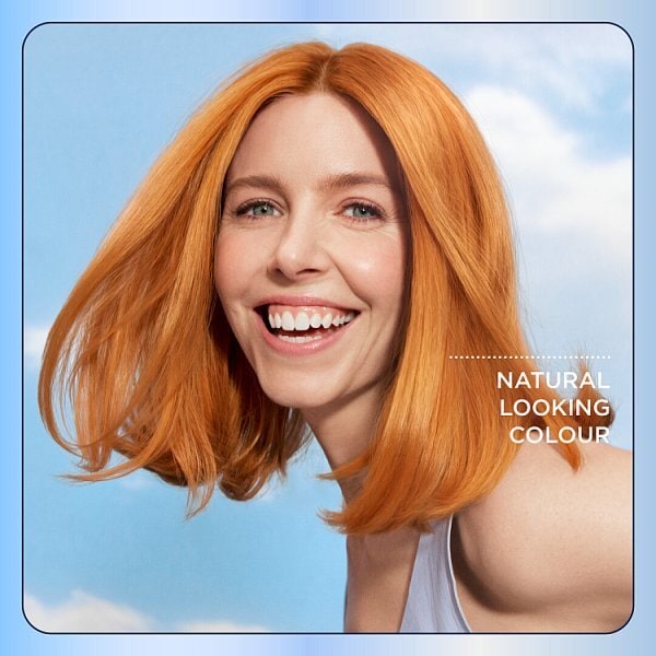 Clairol Nice'N Easy Crème Permanent Hair Dye 3 Brown Black