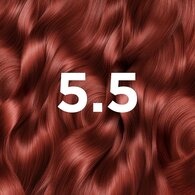 Garnier Good Permanent Hair Dye Auburn Hibiscus Brown 5.5
