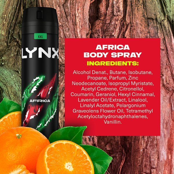 Lynx Deodorant Bodyspray Aerosol Africa 250ml