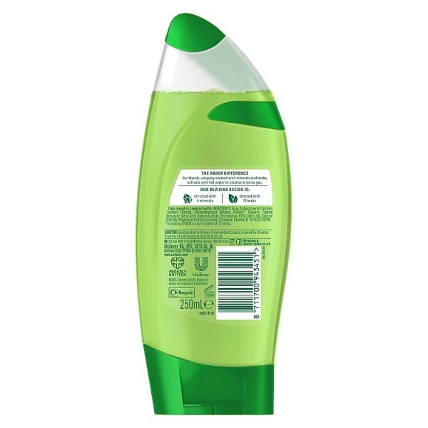 Radox Mineral Therapy Shower Gel Feel Energised 250ml