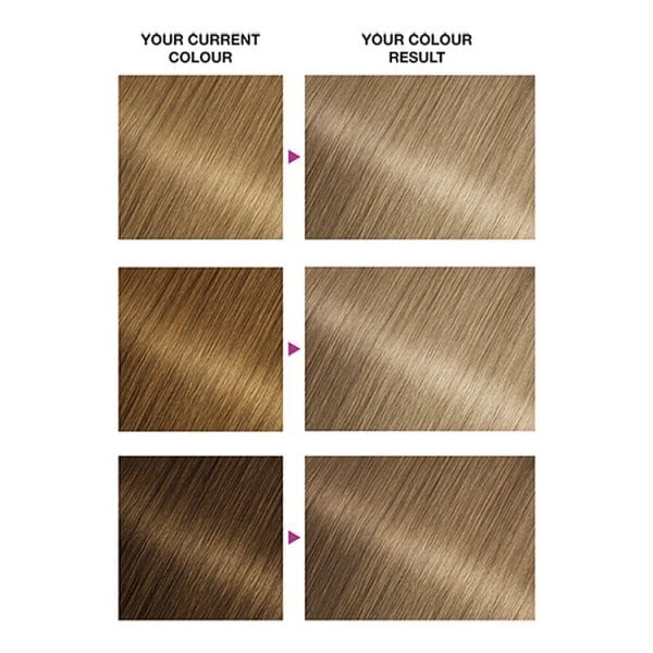 DNR Garnier Nutrisse 8 Blonde Permanent Hair Dye