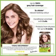 Garnier Nutrisse Permanent Hair Dye Light Brown 6