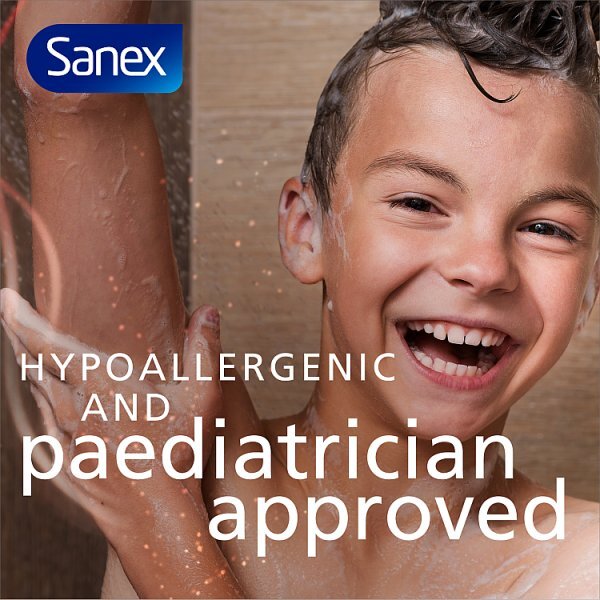 Sanex Expert Head to Toe Body Wash for Kids 450ml