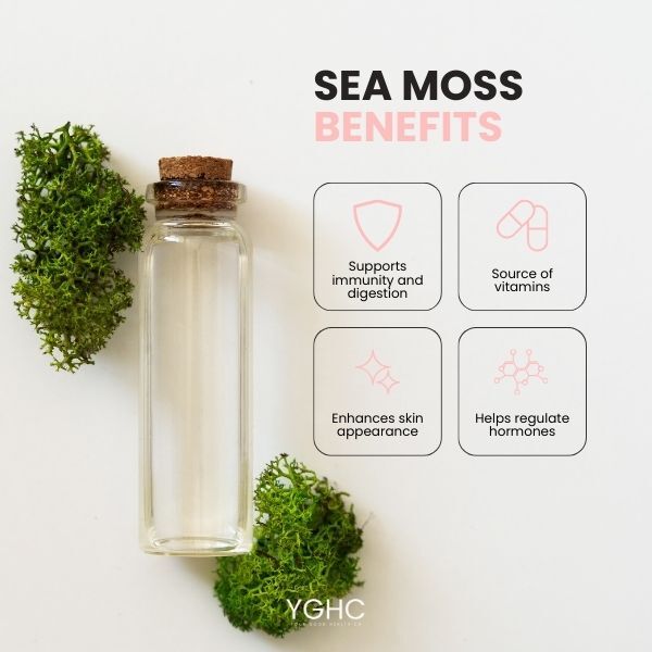 Your Good Health Co Sea Moss Capsules High Strength 3180mg