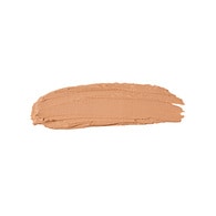 The Full Concealer 305