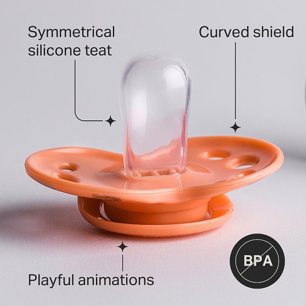 Tommee Tippee CTN Fun Soother 18-36 months