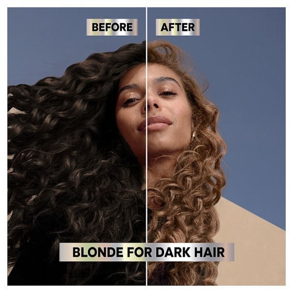 Garnier Nutrisse BlondeLift UL1 Chestnut Blonde Permanent Hair Dye