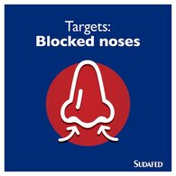 Sudafed Sinus-Ease 0.1% Nasal Spray 15ml